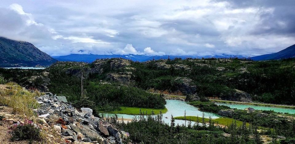 From Skagway: Skagway City & White Pass Summit Guided Tour - Witness Breathtaking Natural Sights