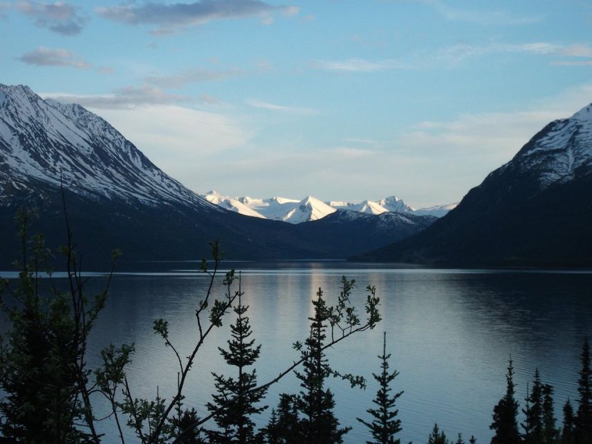 From Skagway: Skagway City & White Pass Summit Guided Tour - Wildlife Spotting Opportunities