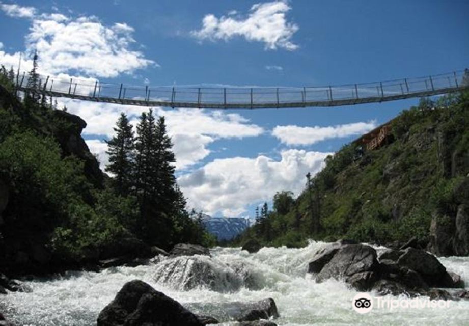 From Skagway: White Pass and Yukon Suspension Bridge Tour - Tour Highlights