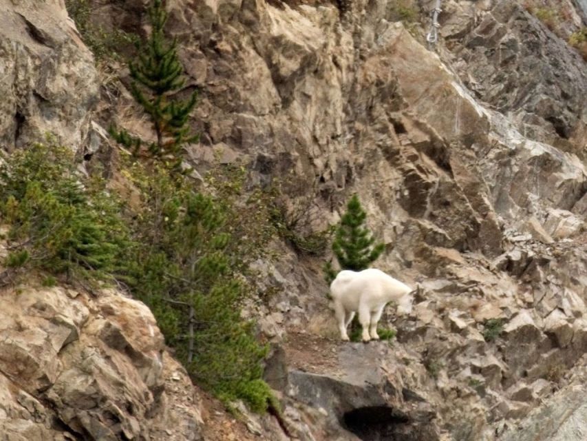 From Skagway: White Pass and Yukon Suspension Bridge Tour - Included in Tour