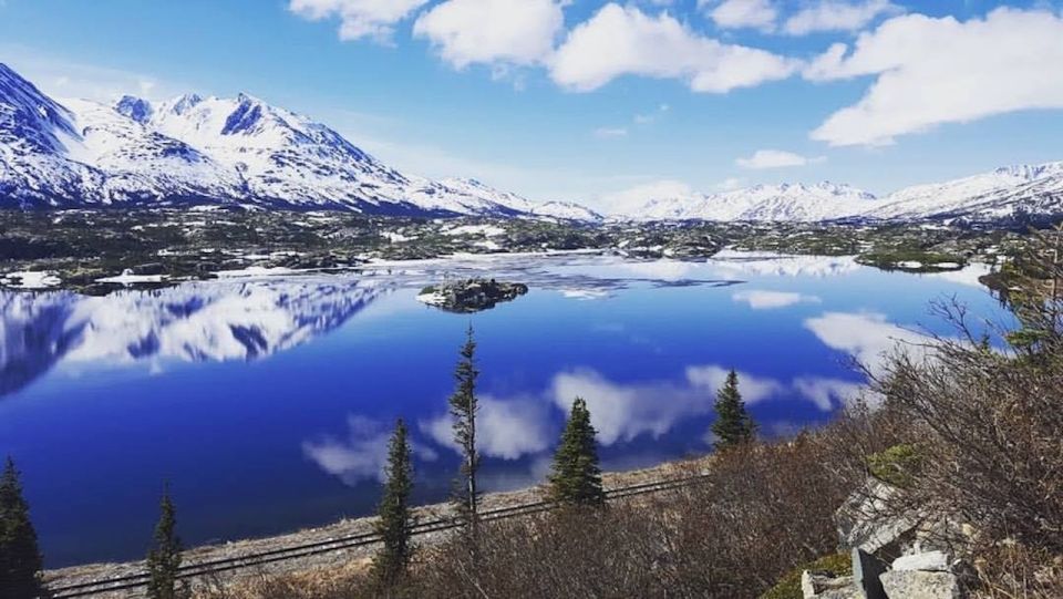 From Skagway: White Pass and Yukon Suspension Bridge Tour - Yukon Suspension Bridge and Tutshi River