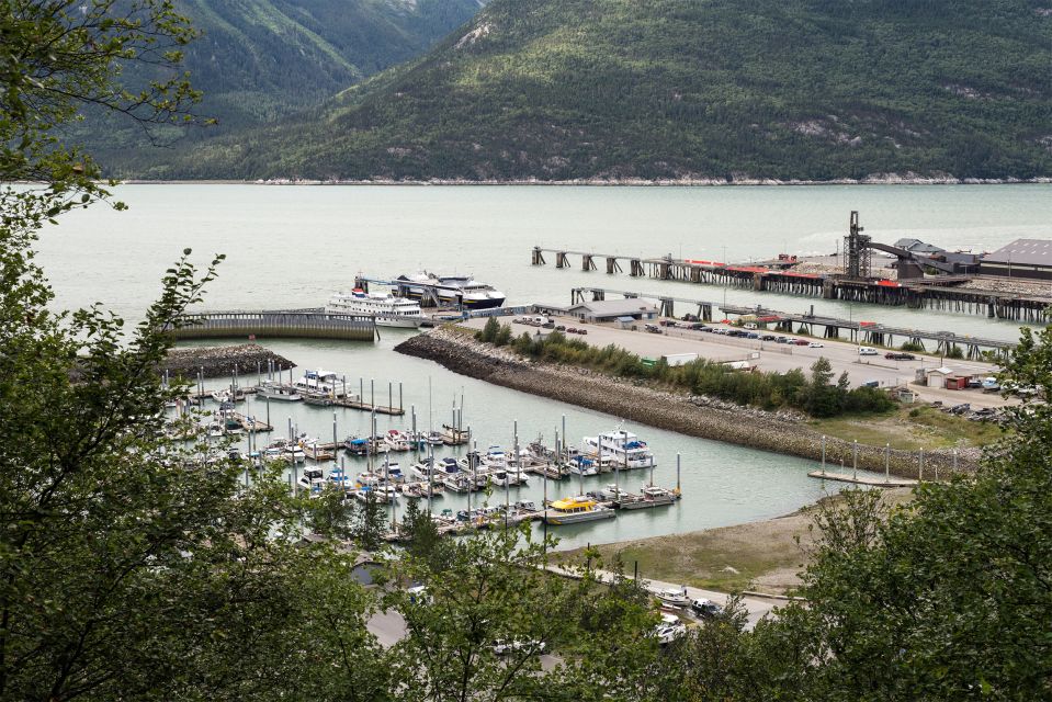 From Skagway: White Pass Summit Guided Bus Tour - Inclusions and Exclusions