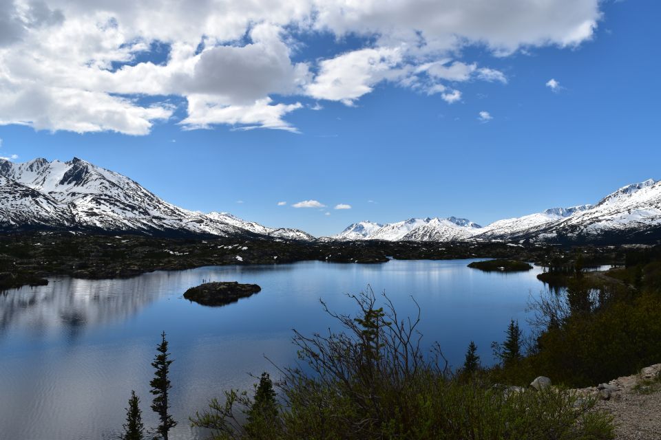 From Skagway: White Pass Summit Guided Bus Tour - Important Information