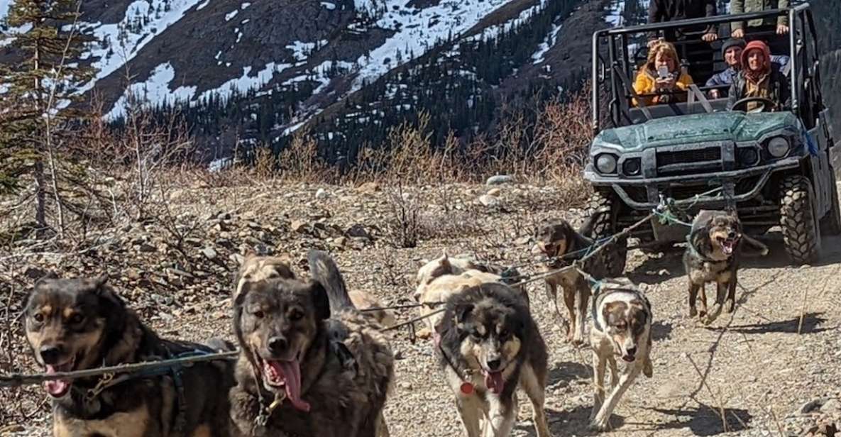 From Skagway: Yukon Sled Dog Mushing & White Pass Combo - White Pass Summit Visit