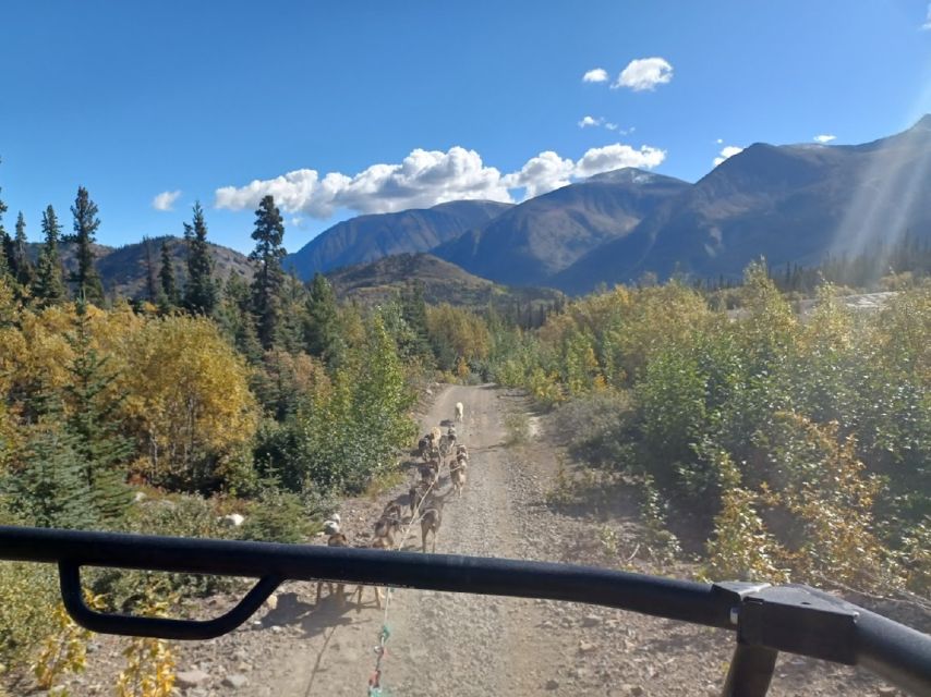 From Skagway: Yukon Sled Dog Mushing & White Pass Combo - Inclusions and Amenities