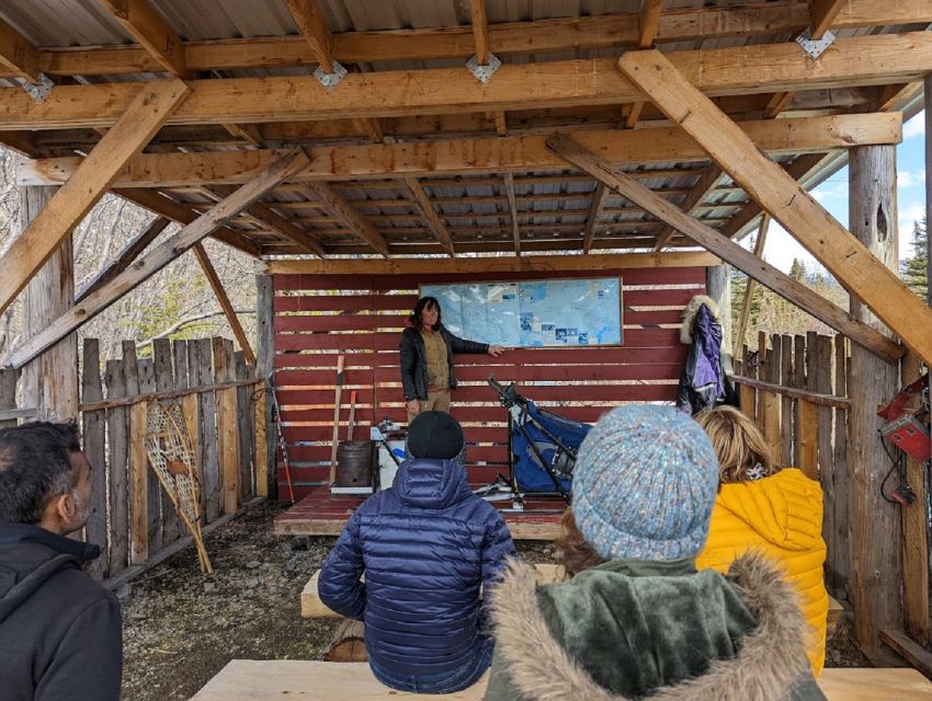 From Skagway: Yukon Sled Dog Mushing & White Pass Combo - Important Considerations