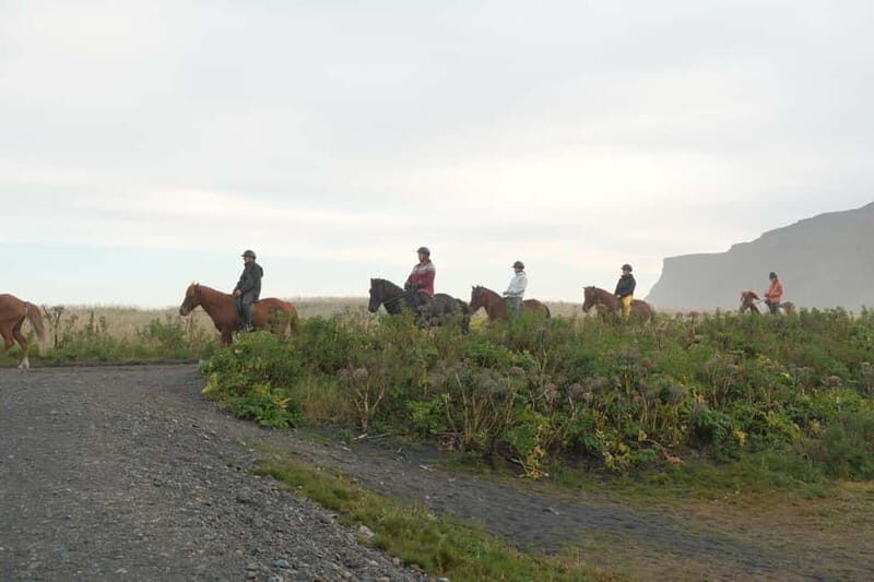 From Skarfabakki: South Coast Tour w/ Solheimajokull Glacier - Summary: Who Should Book This Tour?