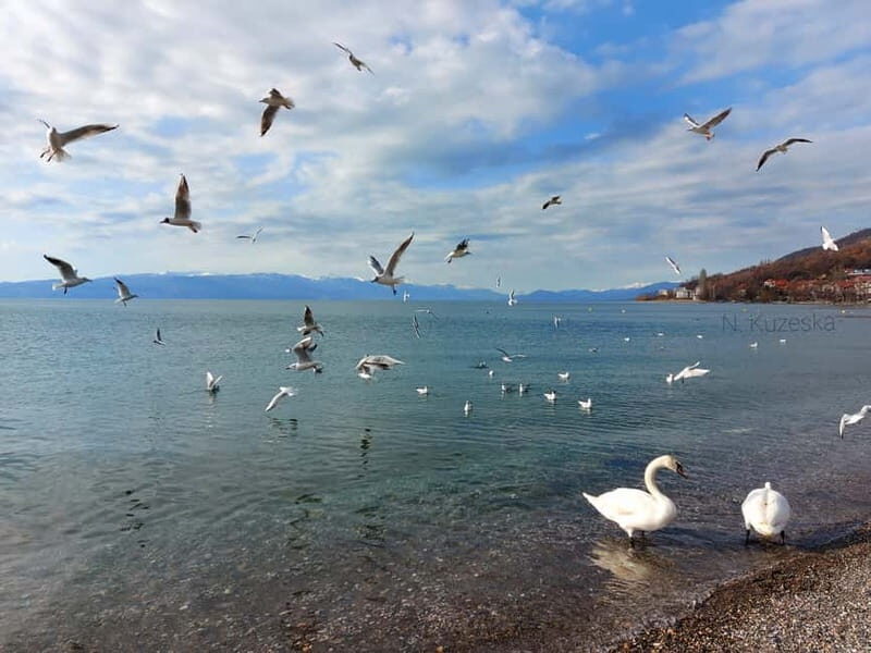 From Skopje: Private Full-Day Tour of Ohrid and Saint Naum - The Sum Up