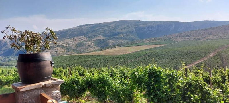 From Skopje: Private Tour of Sopot Winery with Lunch - Final Thoughts: Is It Worth It?