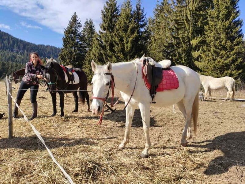 From Smolyan: Waterfalls Canyon Horseback Riding Tour - Final Thoughts: Is This the Ride for You?