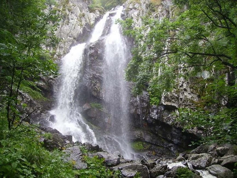 From Sofia: One-Day Tour of Vitosha Mountain - The Experience at a Glance: What to Expect