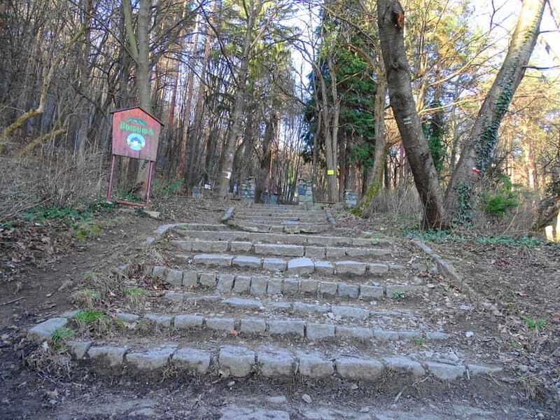 From Sofia: One-Day Tour of Vitosha Mountain - The Itinerary in Detail