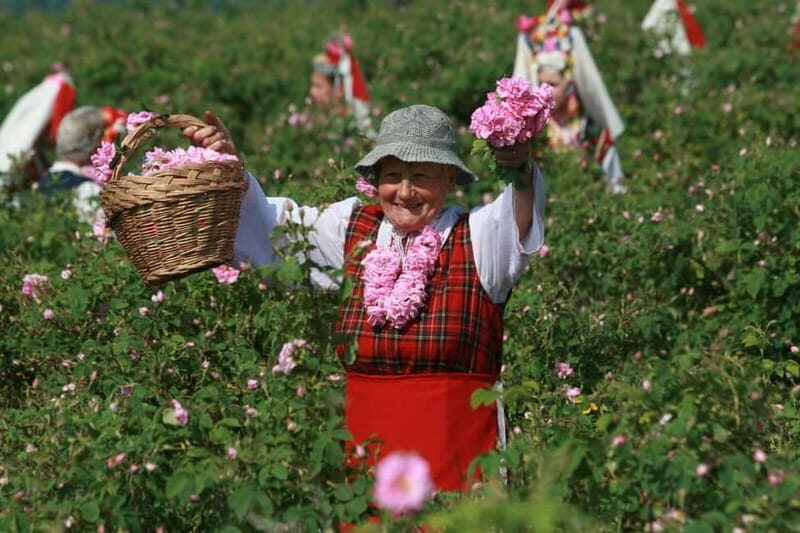 From Sofia: The Rose Valley & Koprivshtitsa 12 hrs Day Tour - Who Should Consider This Tour?
