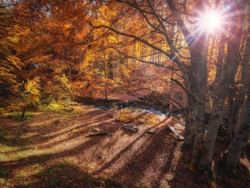 From Sofia: Vitosha Mountain and Pancharevo Lake - Key Points