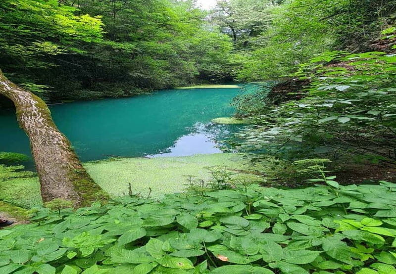 From Sofia: Zlatna Panega River Hike with Springs Visit - Key Points