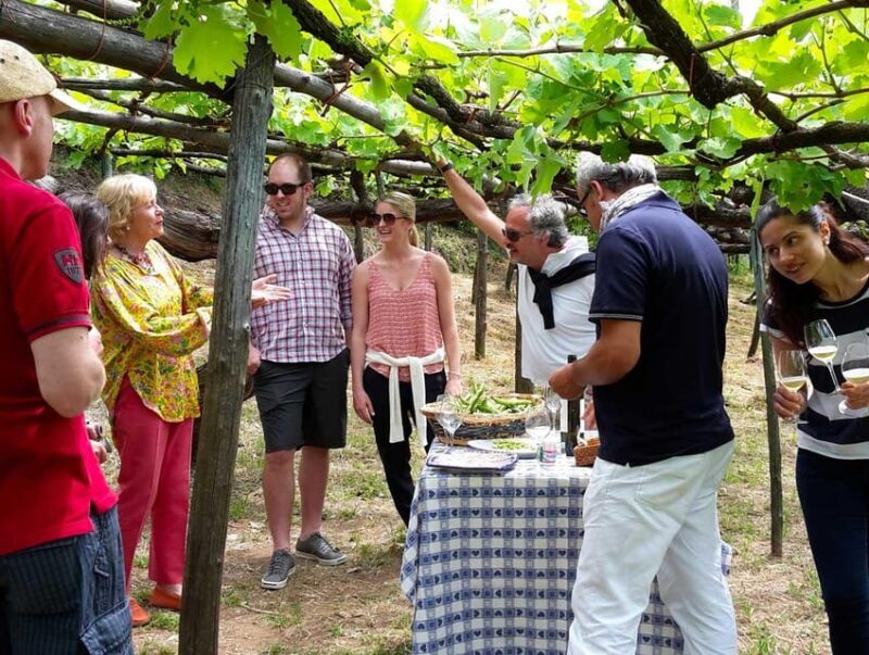 From Sorrento: Amalfi Coast Tour and Wine Tasting with Lunch - Exploring the Amalfi Coast: What to Expect