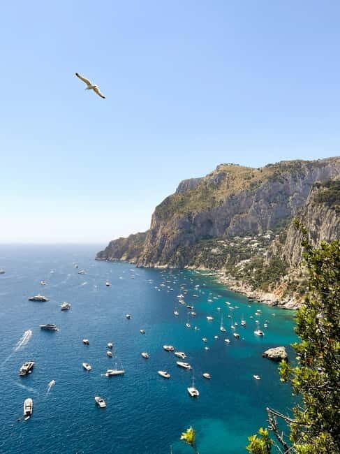 From Sorrento: Capri adventure boat tour - Key Points