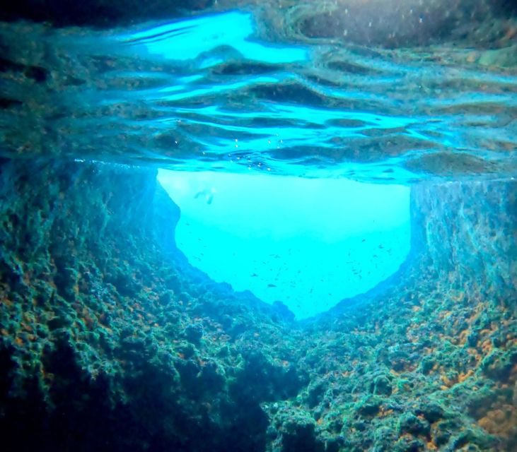 From Sorrento: Capri Island Day Trip With Boat Cruise - Destination Fees