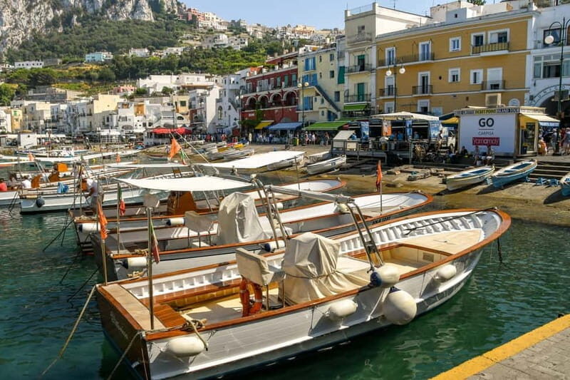 From Sorrento: Capri Land and Sea Small Group Tour - Key Points