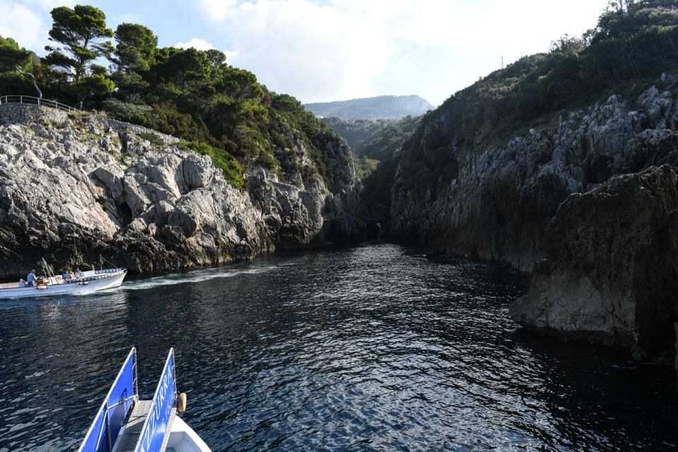 From Sorrento: Day Trip to Capri With Blue Grotto - Pricing and Payment Options