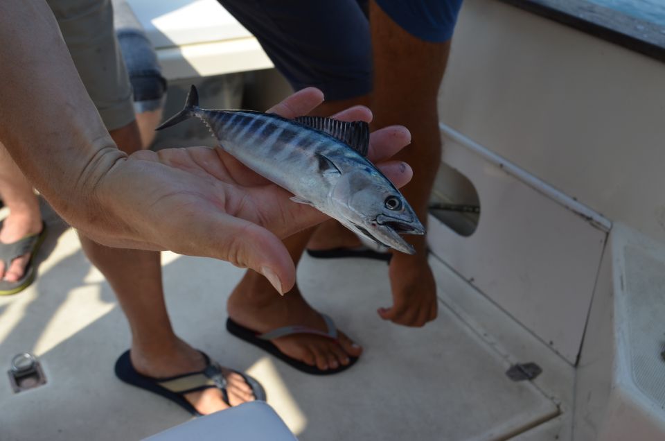 From Sorrento: Fishing in Capri With Lunch - Free Time on Capri