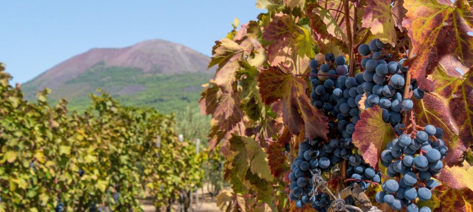 From Sorrento: Herculaneum Guided Tour With Easy Lunch - Lunch at Volcanic Winery