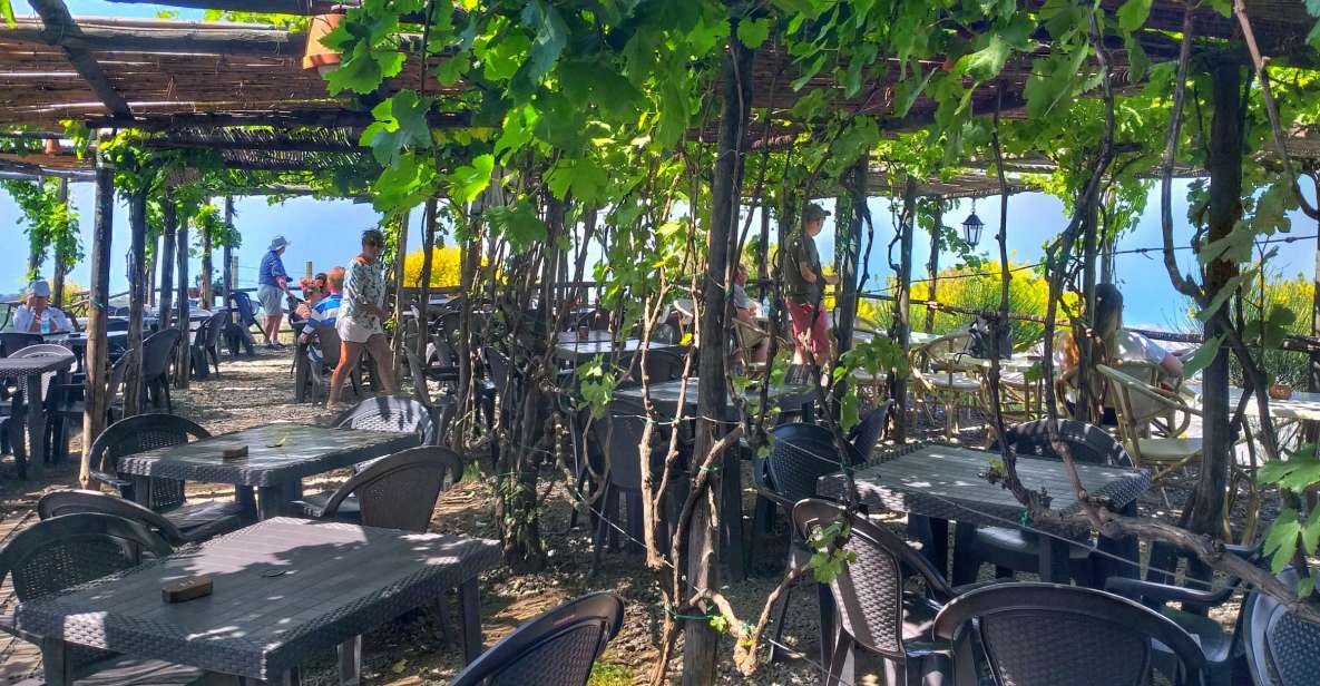 From Sorrento: Mount Vesuvius Tour With Lunch & Wine Tasting - Itinerary and Inclusions