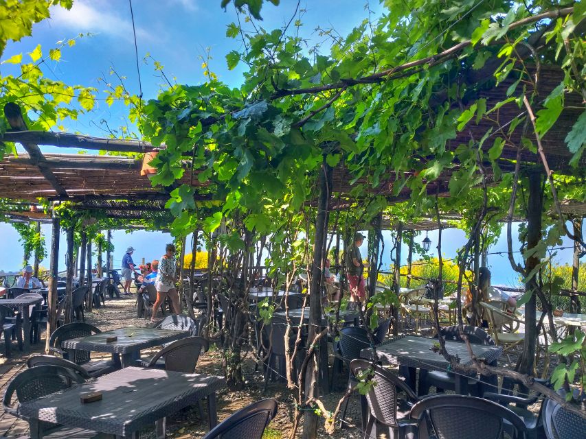 From Sorrento: Mount Vesuvius Tour With Lunch & Wine Tasting - Exclusions and Considerations