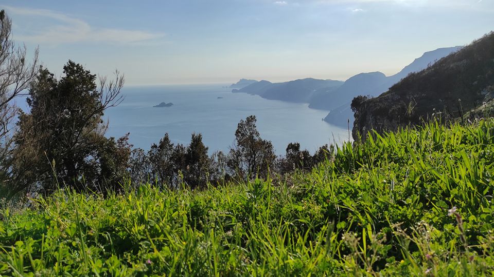 From Sorrento: Path of the Gods Hike With Tasting Stop - Panoramic Views and Scenery