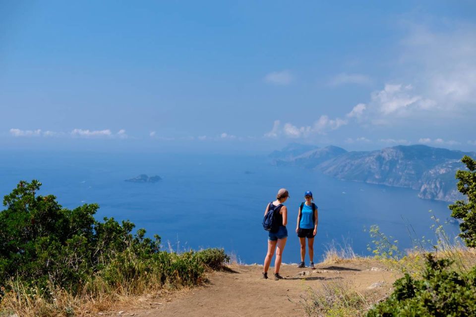 From Sorrento: Path of the Gods Hiking & Transfer With Guide - Key Points