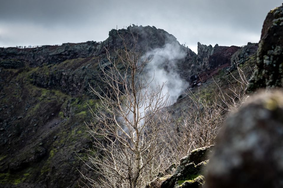 From Sorrento: Pompeii and Vesuvius Guided Tour With Lunch - Inclusions and Amenities