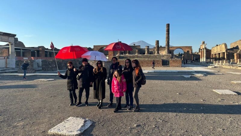 From Sorrento: Pompeii and Vesuvius Skip-the-Line Tour - Key Points
