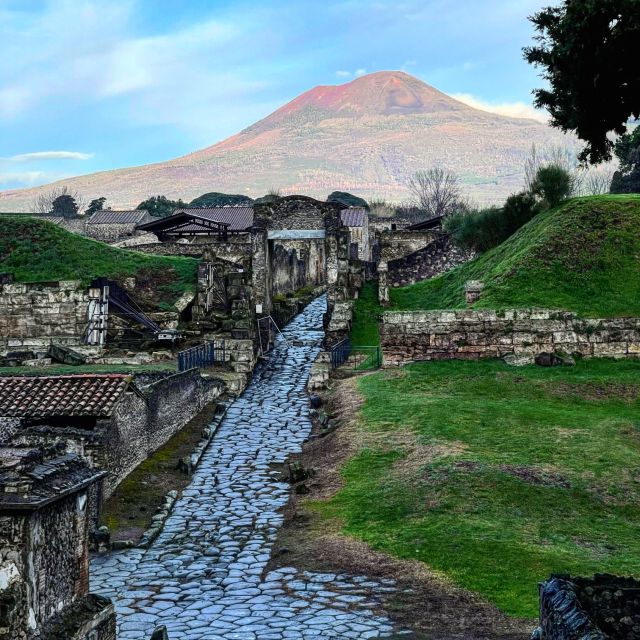From Sorrento: Pompeii and Vesuvius Tour Skip-the-Line - Itinerary Highlights
