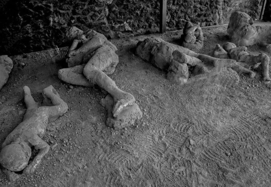 From Sorrento: Pompeii and Wine Tasting Day Trip - Guided Tour of Pompeii