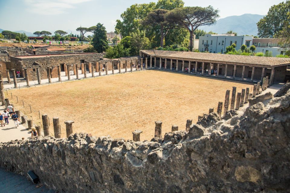 From Sorrento: Pompeii Half-Day Skip-the-Line Tour - Booking Process and Payment Options