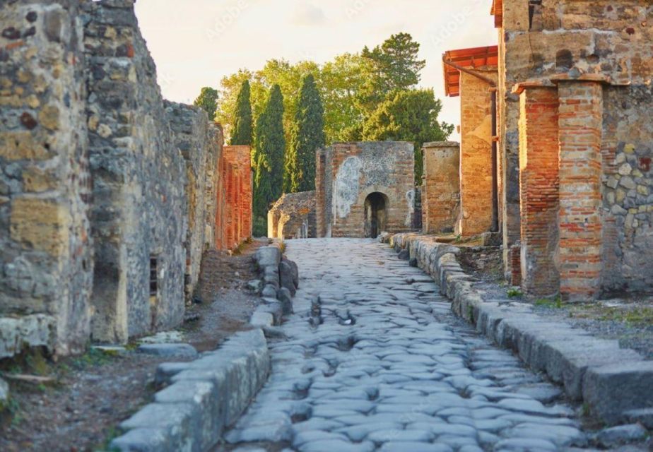 From Sorrento: Pompeii, Vesuvius, and Wine Tasting Tour - Key Points
