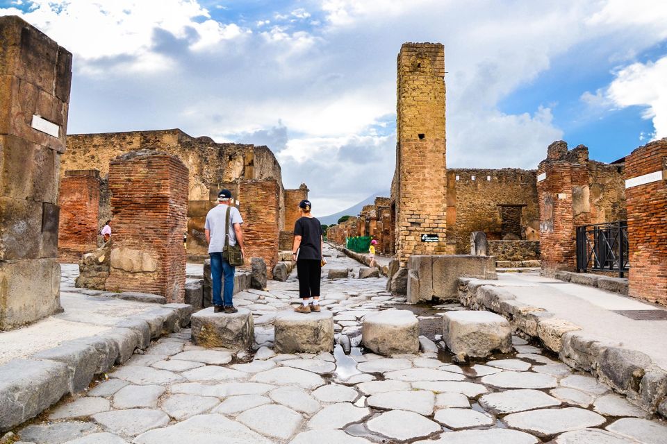 From Sorrento: Pompeii & Wine Tasting Private Tour by Car - Activity Description