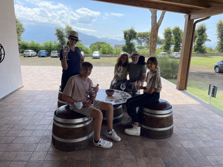 From Sorrento: Pompeii & Wine Tasting Private Tour by Car - Additional Information