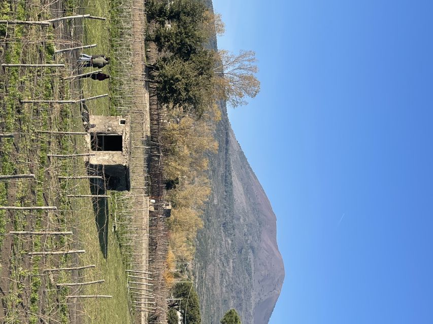 From Sorrento: Pompeii & Wine Tasting Private Tour by Car - Booking Process