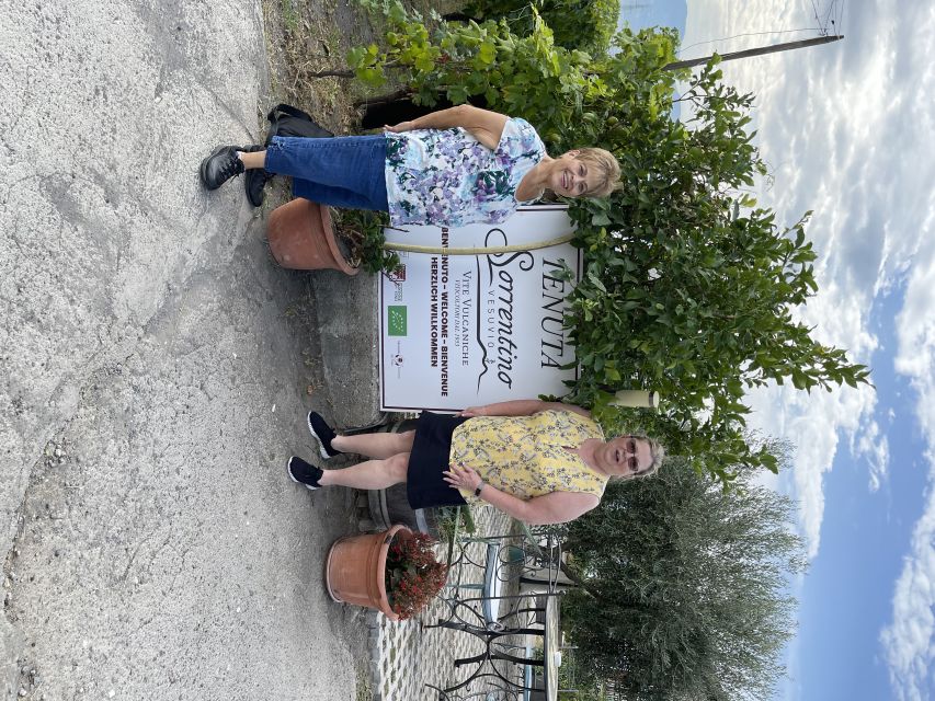 From Sorrento: Pompeii & Wine Tasting Private Tour by Car - Background