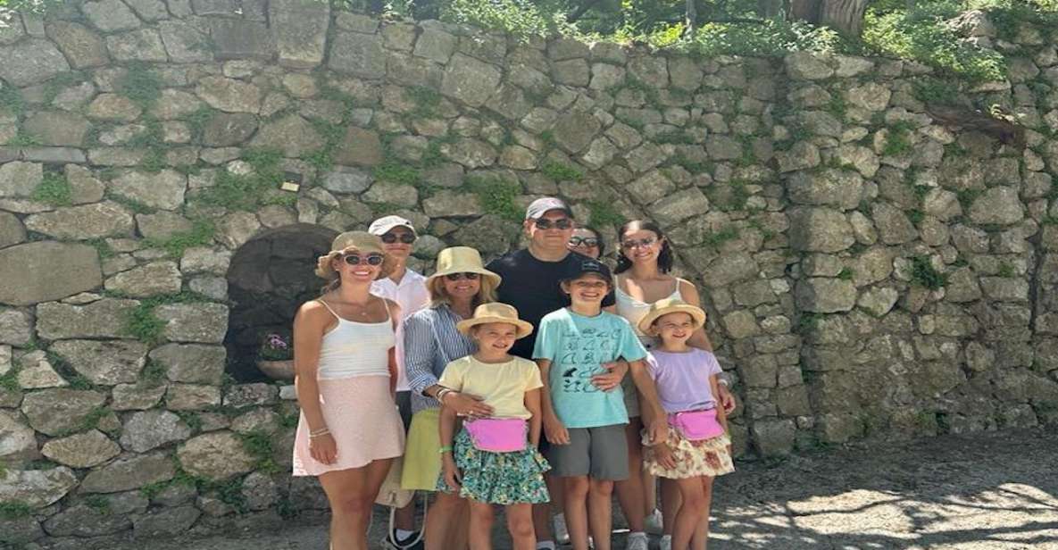 From Sorrento: Private Luxury Tour Pompei ,Winery - Itinerary