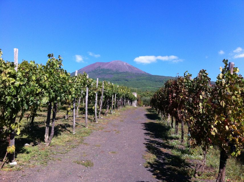 From Sorrento: Skip-the-Line Guided Vesuvius Hike and Lunch - Tour Highlights
