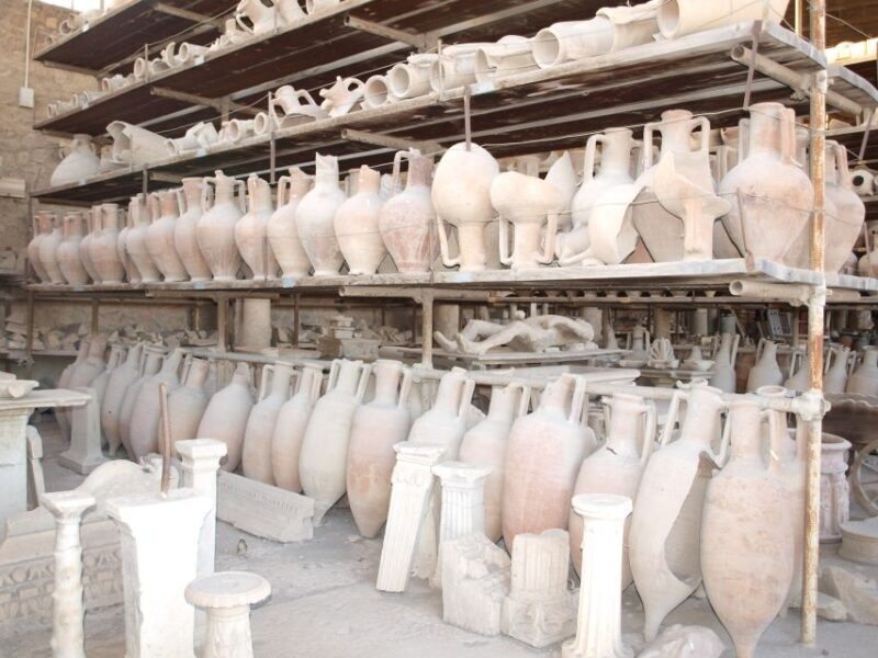 From Sorrento: Skip-the-Line Pompeii Tour and Vineyard Lunch - Final Thoughts: Who Would Love This Tour?