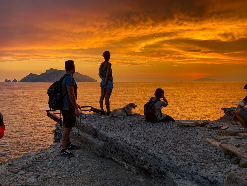 From Sorrento: Sunset Walk & Aperitif in Front of Capri - Key Points