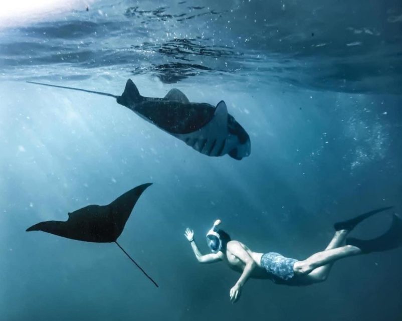From South Bali: Nusa Penida Full-Day Trip With Snorkeling - Speedboat to Nusa Penida