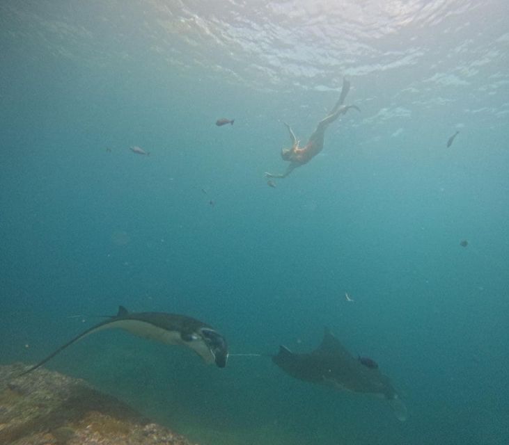 From South Bali: Nusa Penida Full-Day Trip With Snorkeling - Inclusions
