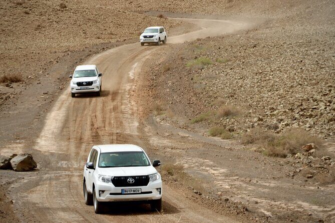 From South Fuerteventura 4x4 Tour Corralejo Dunes and El Cotillo - Learning about Aloe Vera at a Local Farm