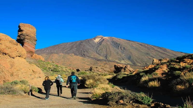 From South Tenerife: Half-Day Tour to Mount Teide - Authentic Experiences & Traveler Impressions