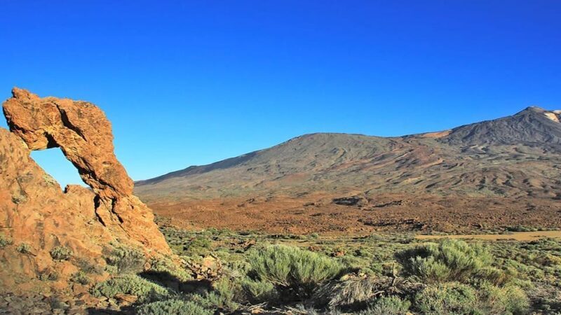 From South Tenerife: Half-Day Tour to Mount Teide - The Sum Up