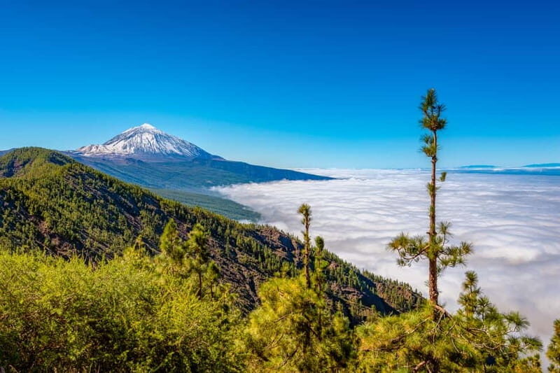 From South Tenerife: Mount Teide Hiking Day Trip & Cable Car - Who Is This Tour Perfect For?